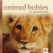 Cover of: Animal Babies In Grasslands (Animal Babies)