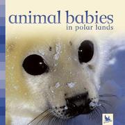 Cover of: Animal Babies in Polar Lands (Animal Babies)