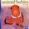 Cover of: Animal babies in seas