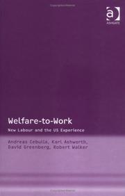 Cover of: Welfare-to-Work: New Labour And The US Experience