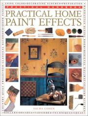 Cover of: Practical Home Paint Effects (Practical Handbooks (Lorenz))