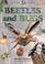 Cover of: Beetles & Bugs (Nature Watch (Lorenz))