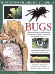 Cover of: The Big Bug Book