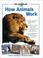 Cover of: How Animals Work (Wild Animal Planet)