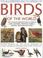 Cover of: The Illustrated Encyclopedia of Birds of the World (Illustrated Encyclopedia)