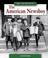 Cover of: The American Newsboy (We the People) (We the People)