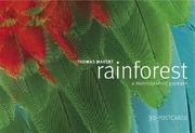 Cover of: Rainforest (Postcards)