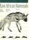 Cover of: East African Mammals: An Atlas of Evolution in Africa, Volume 3, Part A