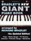 Cover of: Bradley's New Giant Piano Book