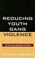 Cover of: Reducing Youth Gang Violence