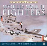 Cover of: World War II fighters by Jeffrey L. Ethell