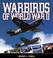 Cover of: Warbirds of WW2 (Enthusiast Color)