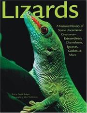 Cover of: Lizards: A Natural History of Some Uncommon Creatures:Extraordinary Chameleons, Iguanas, Geckos, & More by David Badger