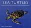 Cover of: Sea Turtles