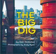 The Big Dig by Dan McNichol