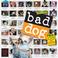 Cover of: Bad Dog Wall Calendar 2008