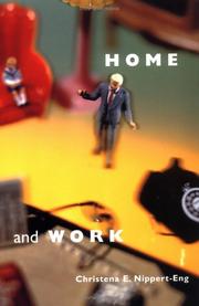 Cover of: Home and work: negotiating boundaries through everyday life