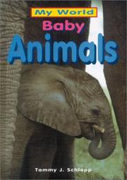 Cover of: Baby Animals (My World)