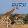 Cover of: Good Morning, Africa! (Our Amazing Continents)