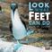 Cover of: Look what feet can do