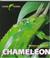 Cover of: Chameleon