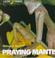 Cover of: Praying mantis