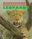 Cover of: Leopards