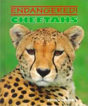 Cover of: Cheetahs