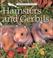 Cover of: Hamsters and Gerbils (Perfect Pets)