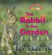 Cover of: The rabbit in the garden by Dana Meachen Rau, Dana Meachen Rau