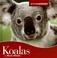 Cover of: Koalas (Animals Animals)