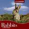Cover of: Rabbits (Animals Animals)