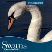 Cover of: Swans (Animals Animals)