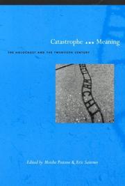 Cover of: Catastrophe and Meaning by 