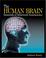 Cover of: The Human Brain