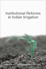 Cover of: Institutional Reforms in Indian Irrigation