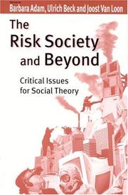 Cover of: The risk society and beyond | 