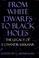 Cover of: From white dwarfs to black holes