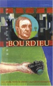 Cover of: Understanding Bourdieu