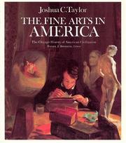 Cover of: The Fine Arts in America (The Chicago History of American Civilization)