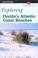 Cover of: Exploring Florida's Atlantic Coast Beaches