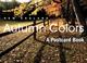 Cover of: New England Autumn Colors