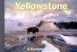 Cover of: Yellowstone National Park