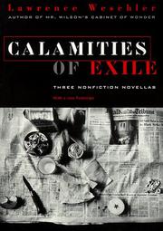 Cover of: Calamities of Exile
