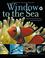 Cover of: Window to the Sea