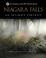 Cover of: Niagara Falls