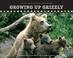 Cover of: Growing Up Grizzly