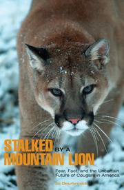 Stalked by a Mountain Lion by Jo Deurbrouck