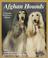Cover of: Afghan hounds