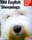 Cover of: Old English Sheepdogs